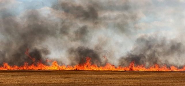 ⚠️До всички живущи в селата Безден и Понор!!! ⚠️До всички живущи в селата Безден и Понор!!!