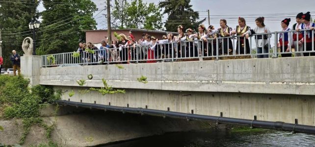 С много пролетно настроение, празничност и пъстрота, НЧ „Заря-1914“, гр. Костинброд, кв. Маслово, посрещна Лазаровден.