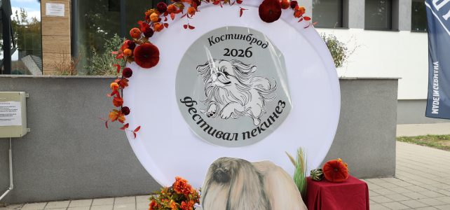 Община Костинброд – домакин на първия фестивал на пекинеза Община Костинброд – домакин на първия фестивал на пекинеза