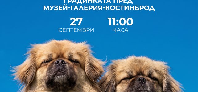 Фестивал на пекинеза Фестивал на пекинеза